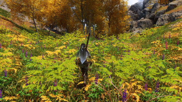 Skyrim Special Edition 09.01.2024 2_53_58.png