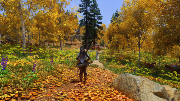 Skyrim Special Edition 09.01.2024 2_52_01.png