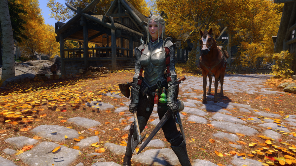 Skyrim Special Edition 23.01.2024 0_43_38