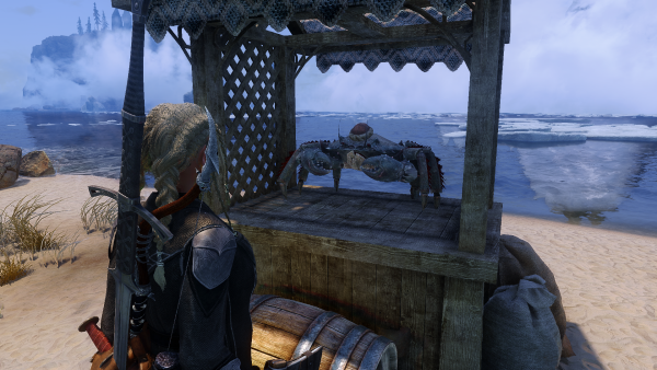 Skyrim Special Edition 27.01.2024 11_09_56