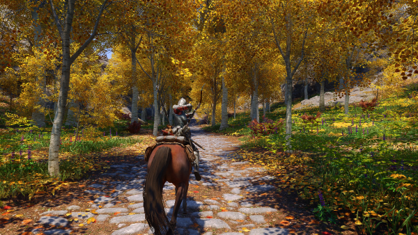 Skyrim Special Edition 23.01.2024 0_45_57