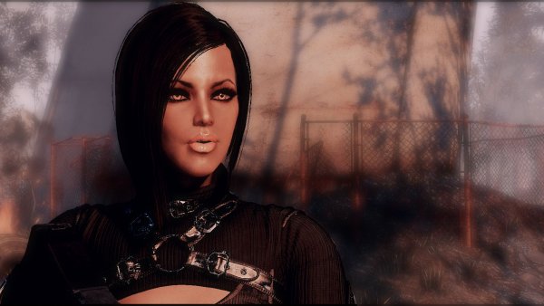 NORA.. Fallout-4 (Сборка 9.0)