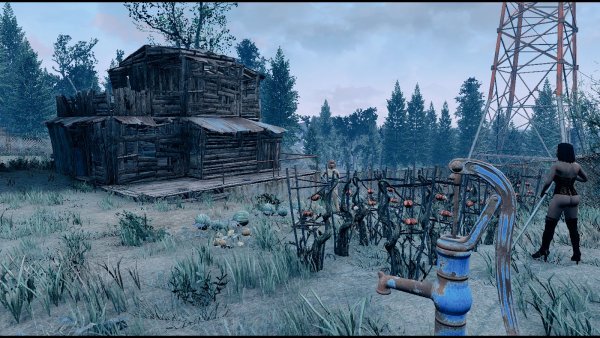 Хижина.. Poselenia Windfire Fallout-4