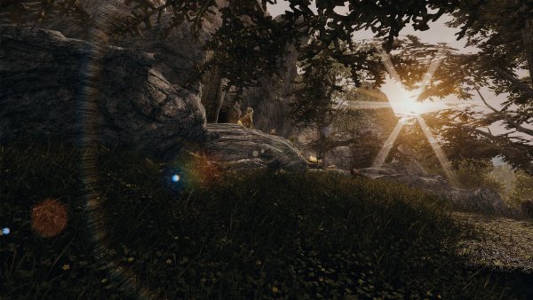 ПЕЙЗАЖ вечерний.. Sexrim AE (Тропики 12)