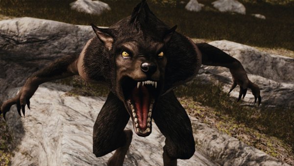 Утрений зёв или рык. Как кому нравиться ))