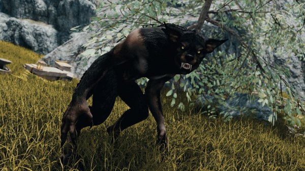 От общения с Сераной у оборотней выросли клыки ))