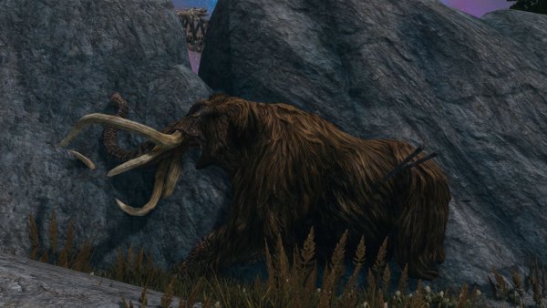 Тот самый мамонт )) Sexrim AE (Тропики 12)