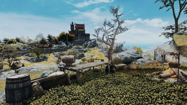 ВАЙТРАН и окрестные виды. Sexrim AE (Тропики 12)