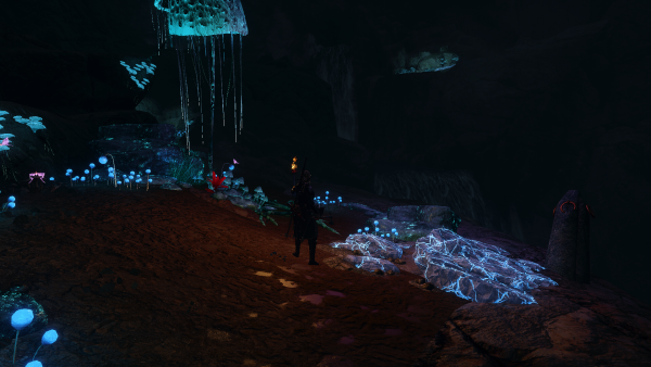 Skyrim Special Edition 27.01.2024 23_51_10