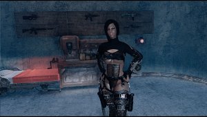 Коллекция легендарного оружия в Р.Рокет на Харборе.