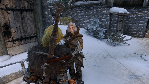 Skyrim Special Edition 31.01.2024 16_43_37.png