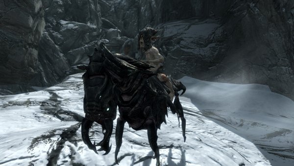 enb 2024_01_31 15_49_18_79.jpg