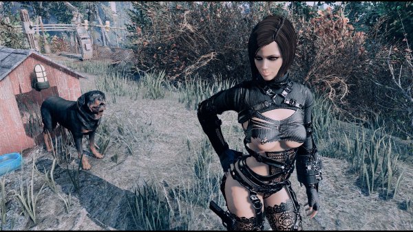 NORA и песель.. Fallout-4 (Сборка 9.0)