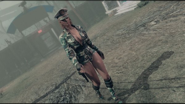 Поселенки..  Fallout-4 (Сборка 9.0)