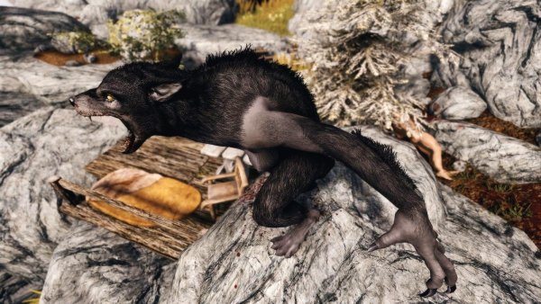 Вервольф.. Sexrim AE (Тропики 12)