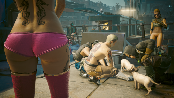 Джуди и Ви нашли "подружку" своему котику -1.