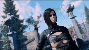 NORA.. Fallout-4 (Сборка 9.0)