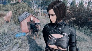 NORA и пес.. Fallout-4 (Сборка 9.0)