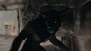 Волчок.. Skyrim AE (Тропики 12)