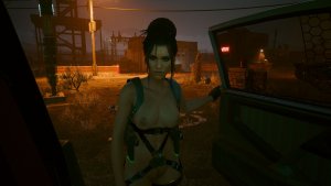 Панам.. Cyberpunk 2077 глазами Windfire