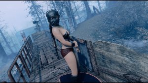 Поселенка на охране.. Fallout-4 (Сборка 9.0)