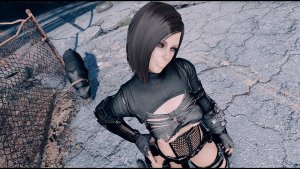 НОРА гуляет с псом.. Fallout-4 (Сборка 9.0)