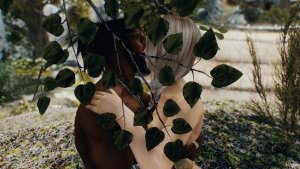 Не омела, но смысл тот-же ;) Skyrim AE (Тропики 12)