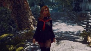 Странствующая торговка.. SKYRIM AE (Сборка 14)