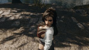 Видимо, это селфи )) SKYRIM AE (Сборка 14)