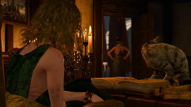 witcher3 2022-01-21 01-05-06-26.jpg