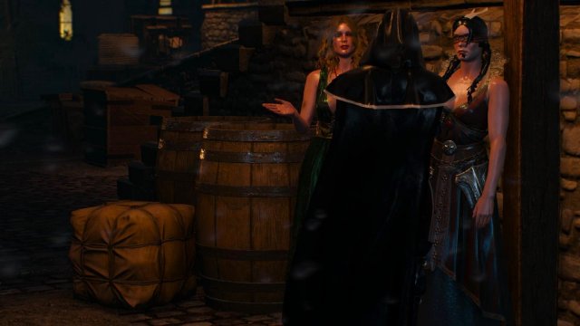 witcher3 2022-01-21 19-10-16-50.jpg