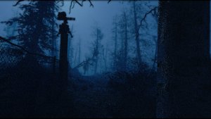 Угл ограды. Часто зомби приходят. Fallout-4