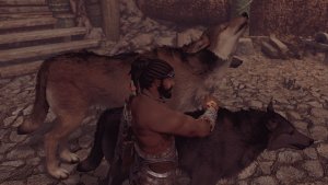 Рауф с волками.. SKYRIM AE (Сборка 14)