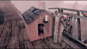Пес переехал на 2 этаж жить )) Fallout-4