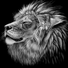 Leon
