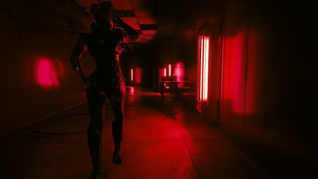 Cyberpunk 2077 Screenshot 2024.08.26 - 13.12.04.74.jpg