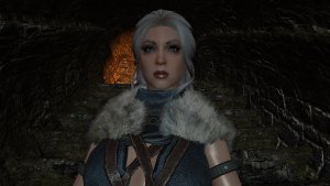 Типичный стражник Виндхельма...