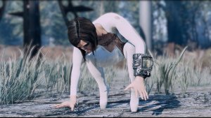 Запанка укатилась )) Fallout-4 (Сборка 10.5)