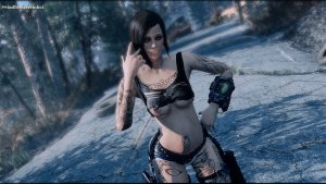 В дороге. Fallout-4 (Сборка 10.5)