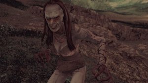 Ведьма. SKYRIM AE (Сборка 15)