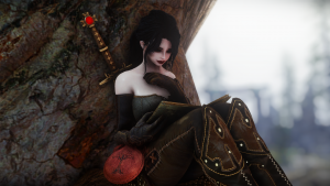 The Elder Scrolls V  Skyrim Special Edition Screenshot 2025.03.17 - 00.50.43.42.png