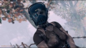 Стражница поселения. Fallout-4 (Сборка 10.5)