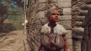 Стражница Рифтена. SKYRIM AE (Сборка 16)