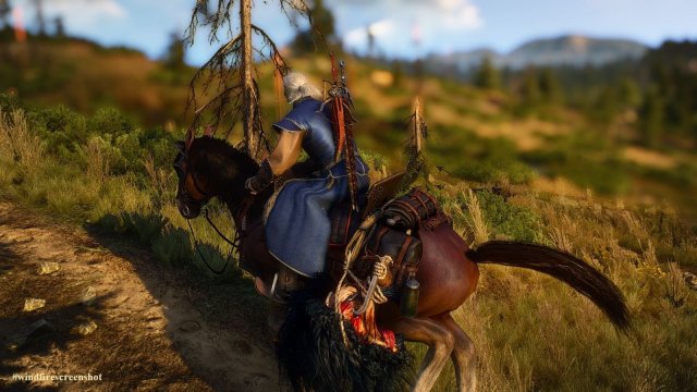 The Witcher 3 Screenshot 2025.04.10 - 22.30.39.50.jpg