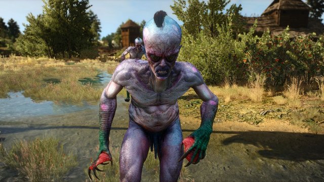 The Witcher 3 Screenshot 2025.04.26 - 22.11.47.60.jpg