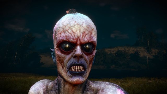 The Witcher 3 Screenshot 2025.04.30 - 22.08.39.51.jpg