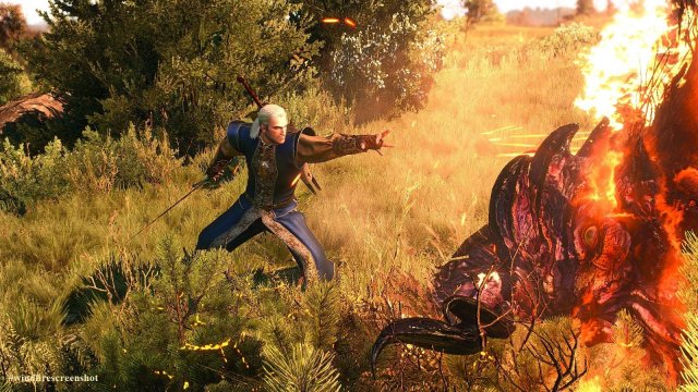 The Witcher 3 Screenshot 2025.04.20 - 19.51.29.78.jpg