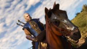 Геральт.. Ведьмак III (сборка Торна)