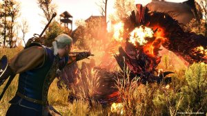 Геральт жарит Клекотуна. Ведьмак III (сборка Торна)