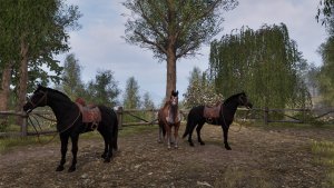 Конюшня. Кони. Всё логично... казалось бы))